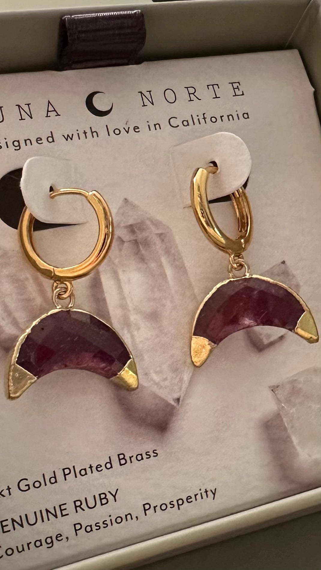 Crescent Horn Huggie Hoop Earrings - Ruby