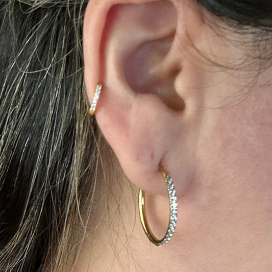 Timeless Hoops Earrings